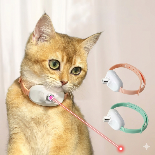 Aristokat Ogrlica Sa Laserom